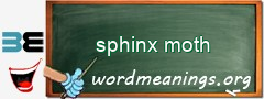 WordMeaning blackboard for sphinx moth